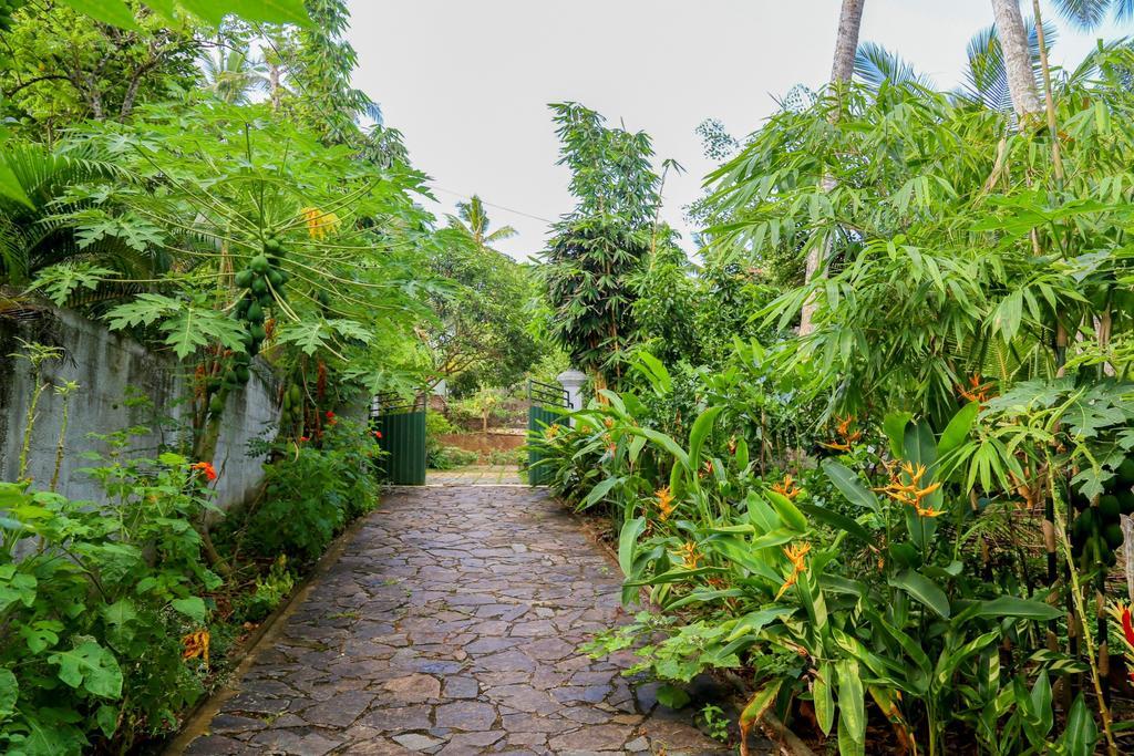 Villa Green Cottage Хикадува Екстериор снимка